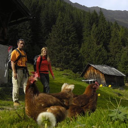 Aparthaus Camping Stubai Neustift im Stubaital Esterno foto