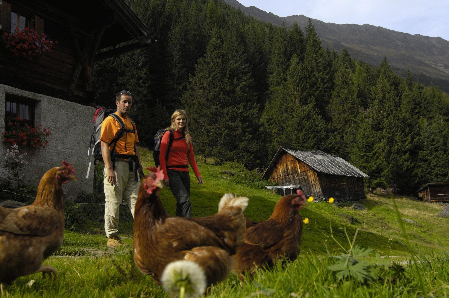 Aparthaus Camping Stubai Neustift im Stubaital Esterno foto